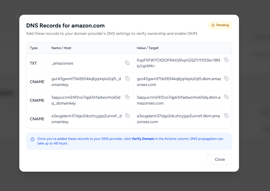 Domain DNS setup